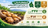  آذربایجان شرقی؛ قطب تولید سیب‌زمینی کشور